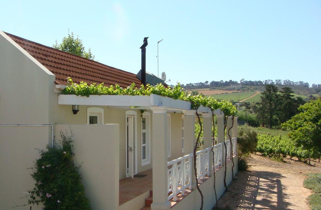 Clos Malverne Wine Estate Stellenbosch Exterior photo